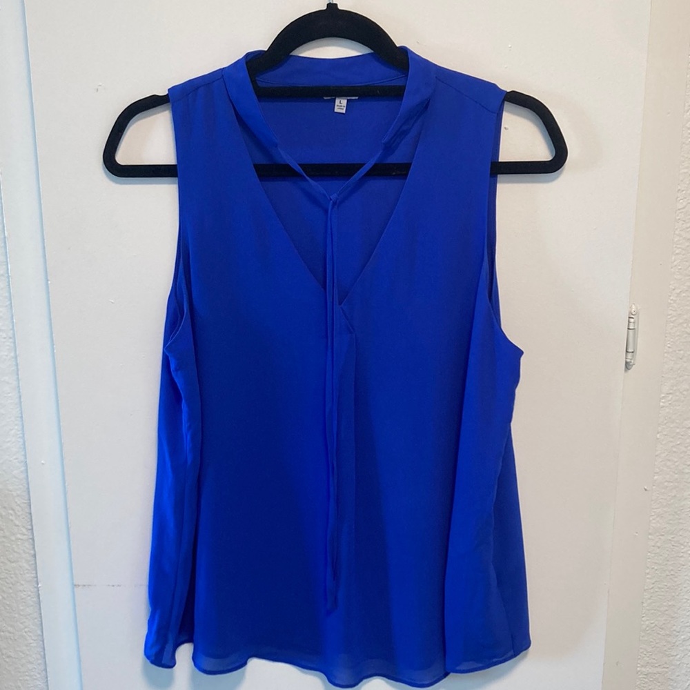 Naked Zebra Blue Top